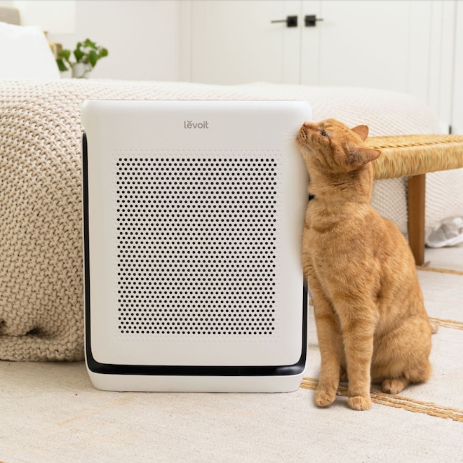 This Air Purifier Made My Allergies Disappear— and It’s on Sale RN