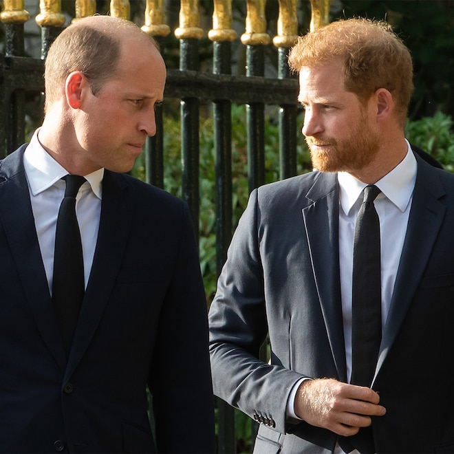 Prince Harry Jokes About Brother Dynamics Amid Prince William Rift