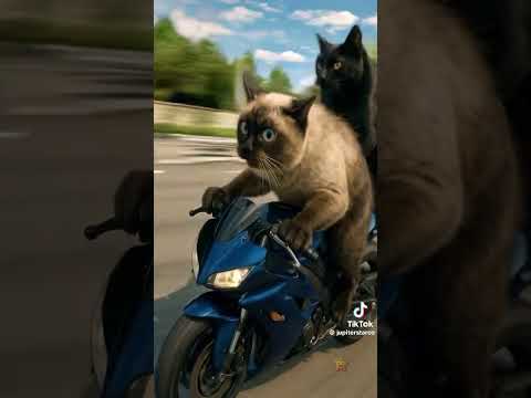 #realestate #floridabeachhouse #completechoicetitle #miamilakesrealestate #resf #miamirealtors