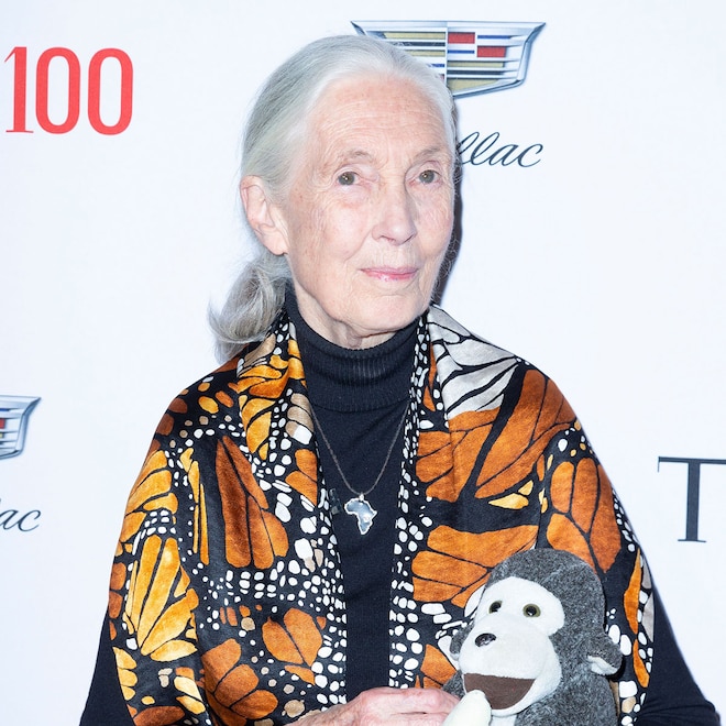 Jane Goodall, Famed Anthropologist and Activist, Dead at 91