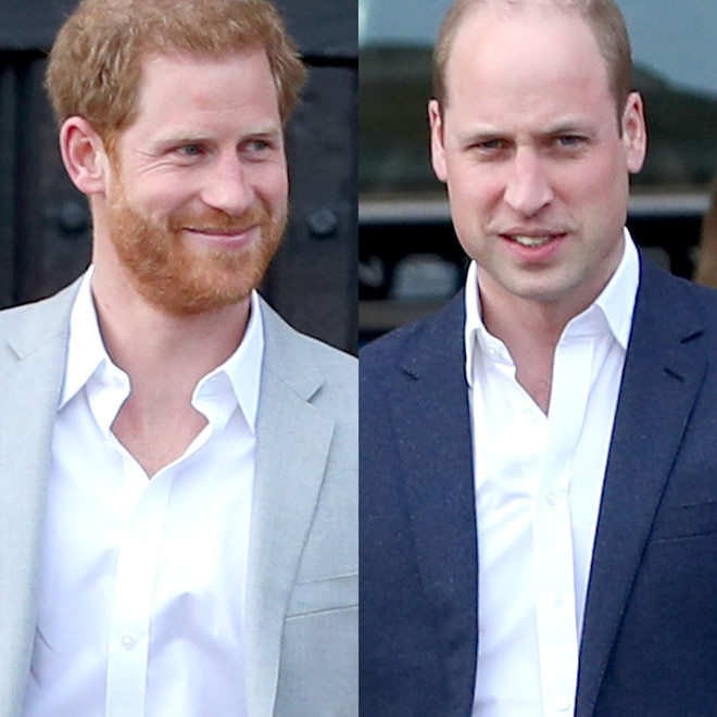 Prince William Makes Rare Comment About Brother Prince Harry Amid Rift