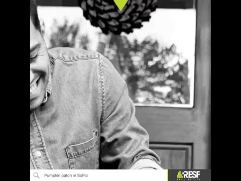 Pumpkins carved, candles lit, and the eerie soundtrack queued up #shorts