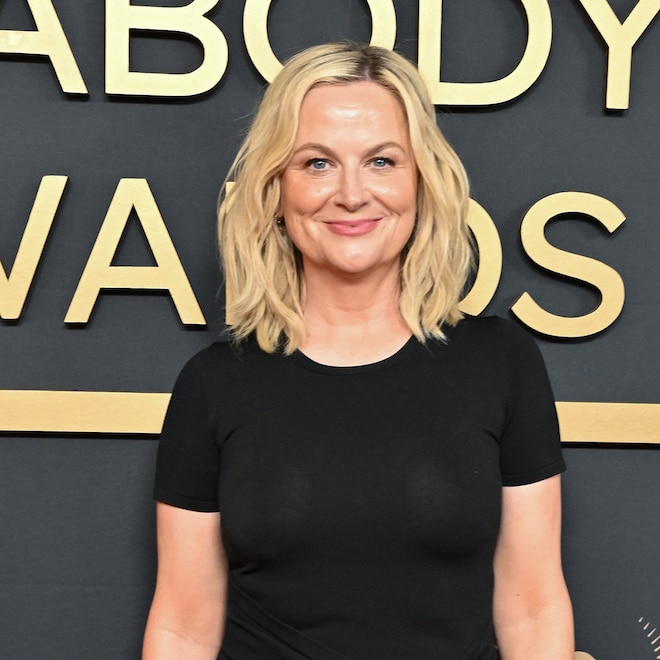 Amy Poehler Got Into a Fight on a Plane for Swearing Near a Baby