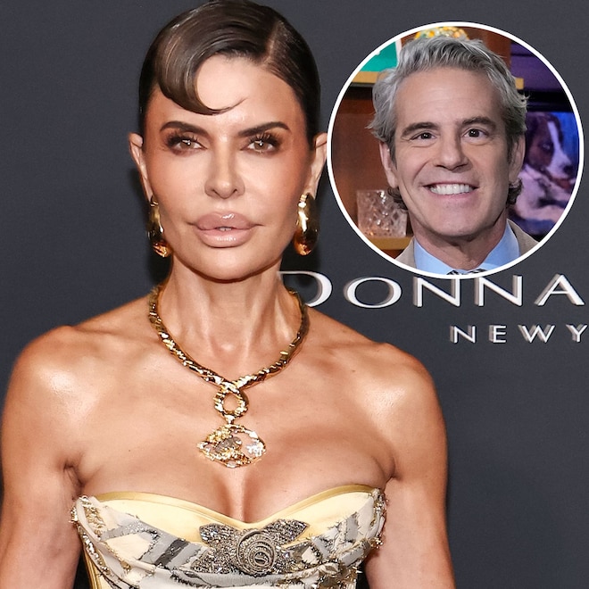 Lisa Rinna Compares Traitors Scene to Andy Cohen’s Baby Shower