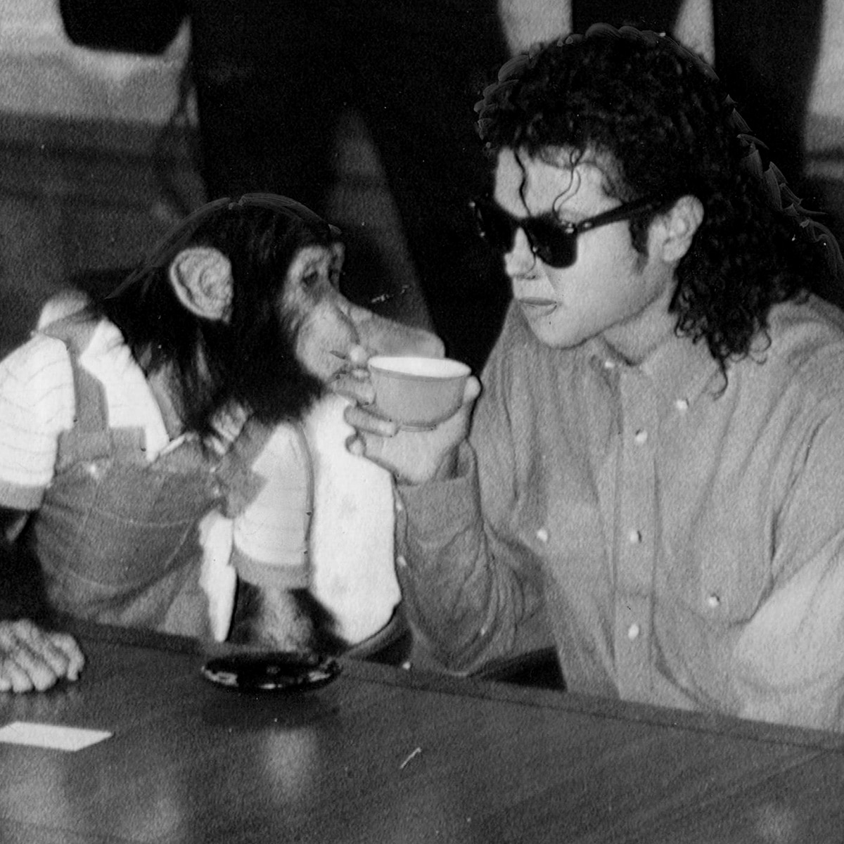 Where Is Michael Jackson’s Chimpanzee Bubbles Now? Truth Revealed