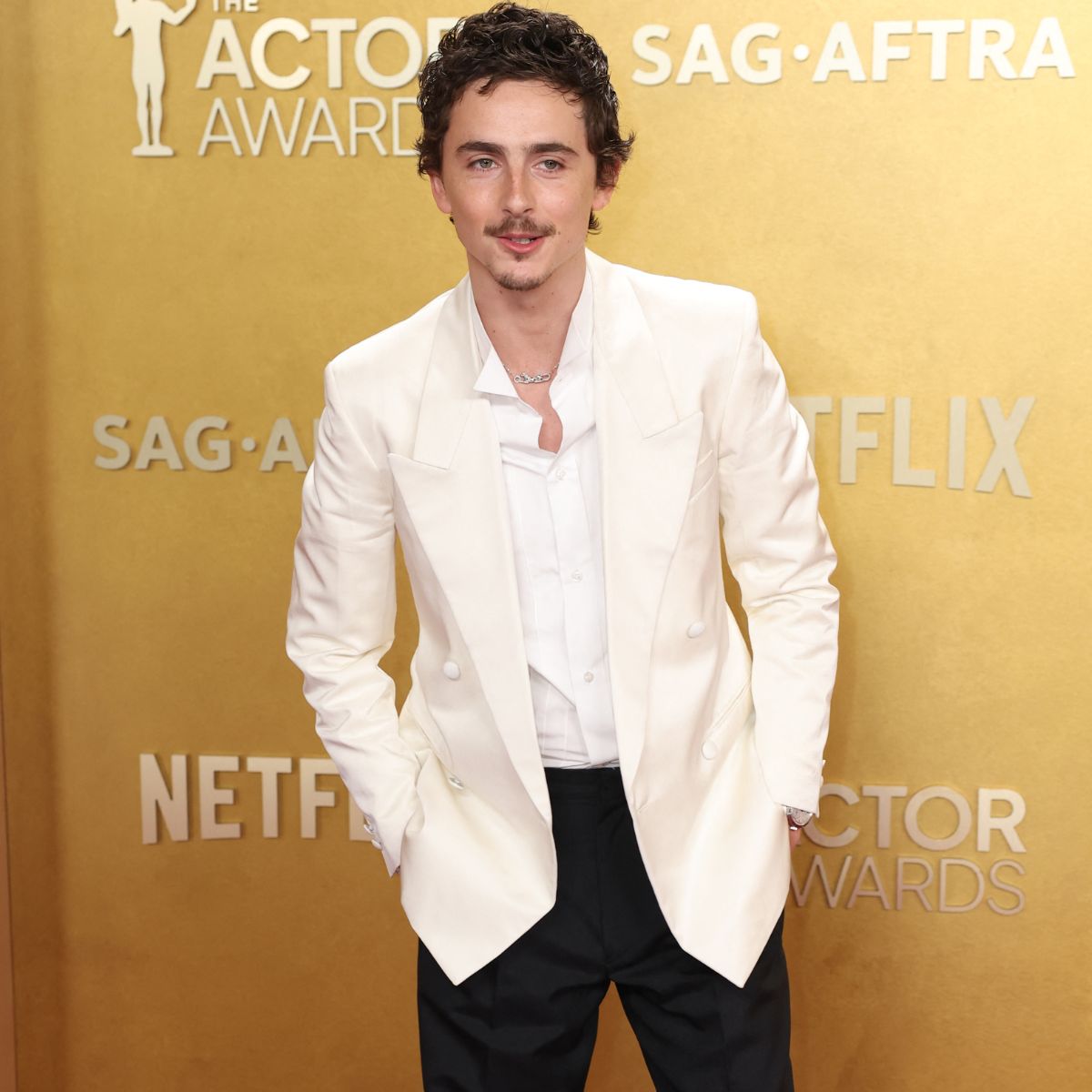 Timothée Chalamet Debuts Haircut, Shaved Face During Knicks Game