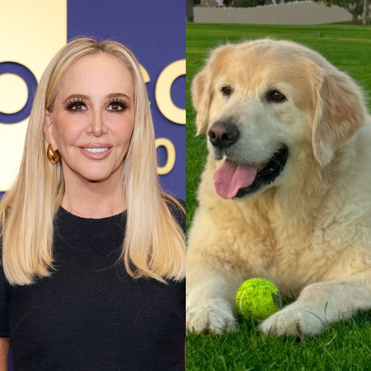 RHOC Star Shannon Beador Mourns Death of Dog Archie After Brain Cancer