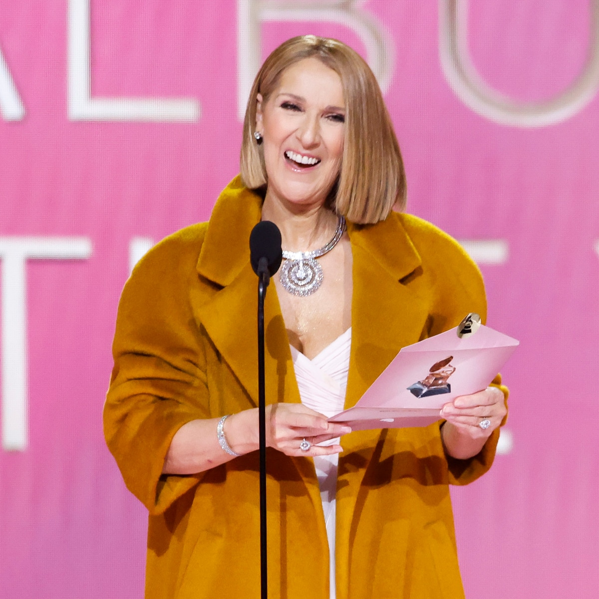 A Céline Dion TV Series Is in the Works