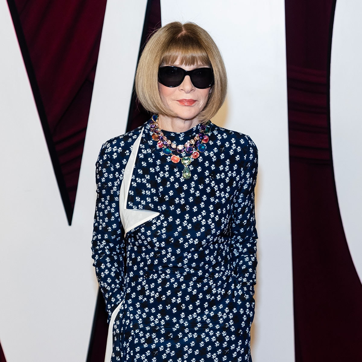 Anna Wintour Reacts to Rumors She Approves All Met Gala Looks
