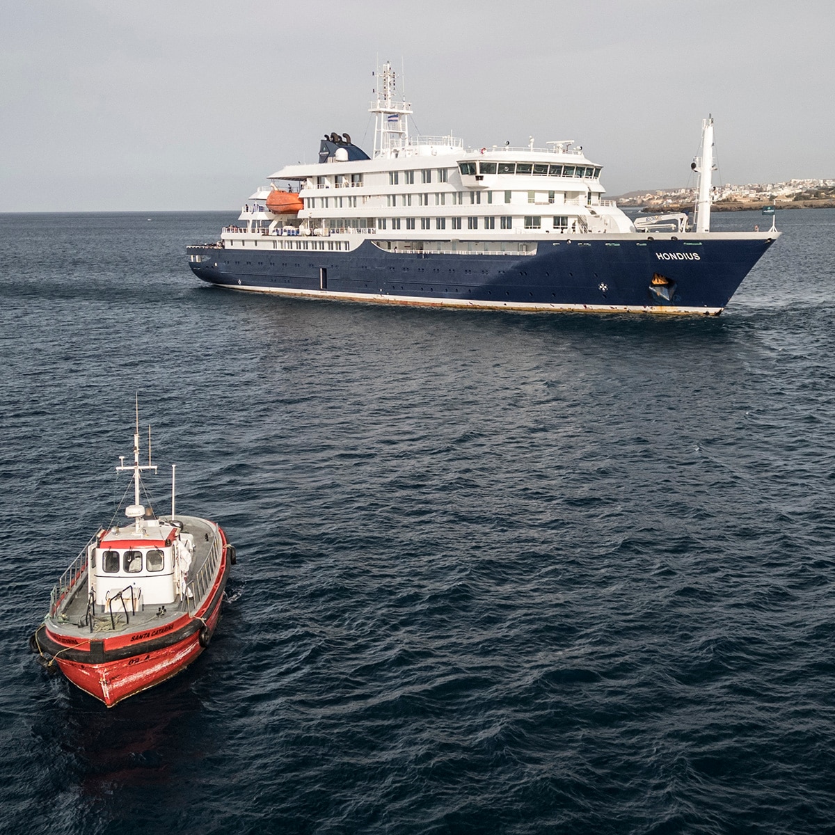 Everything to Know About Deadly Hantavirus Cruise Ship Outbreak