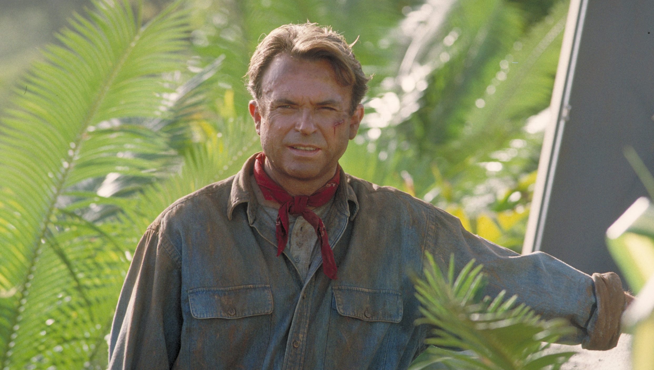 What Cancer Did Sam Neill Have? All About His History With Angioimmunoblastic T-cell Lymphoma