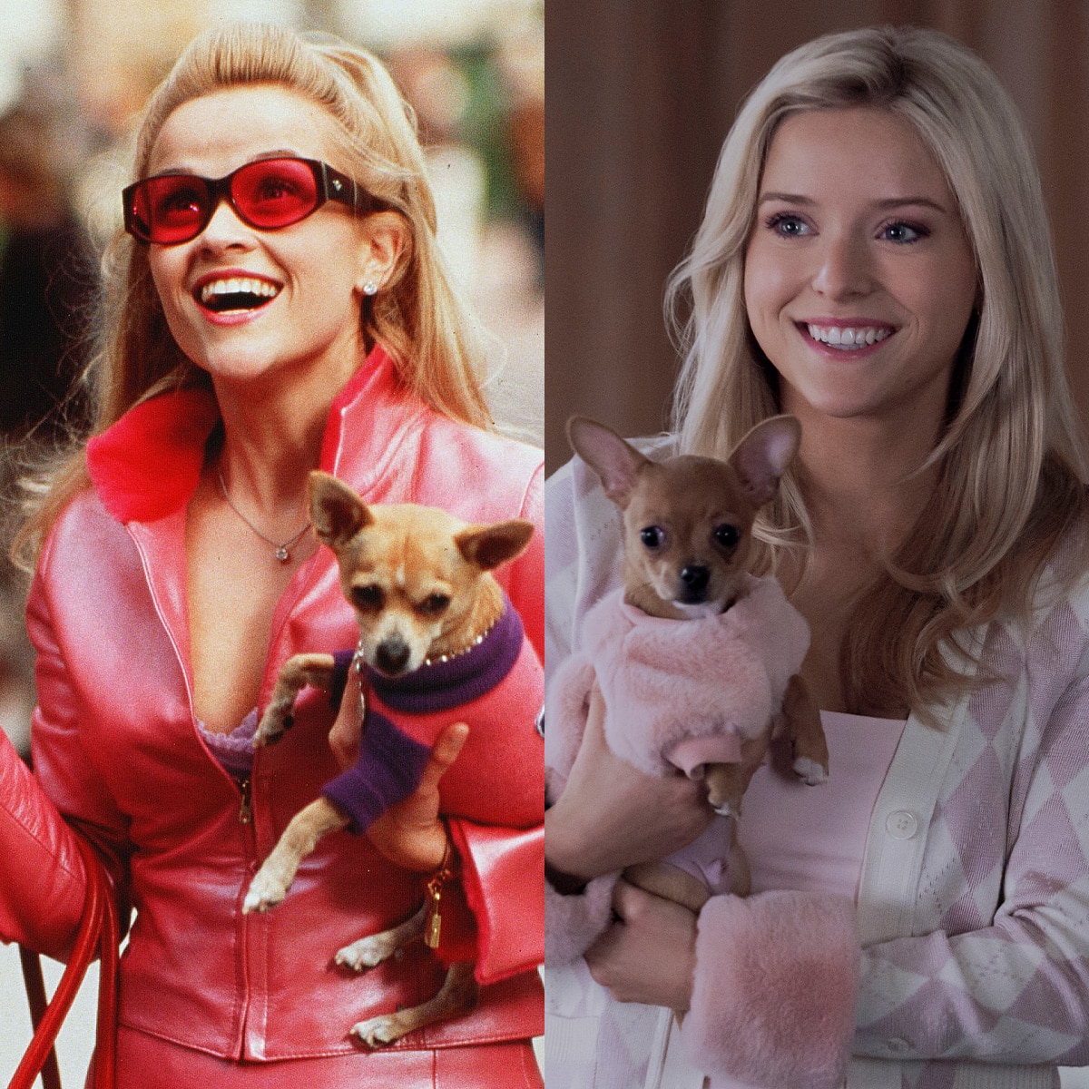 How Elle Woods’ Origin Story in Elle Differs From Legally Blonde