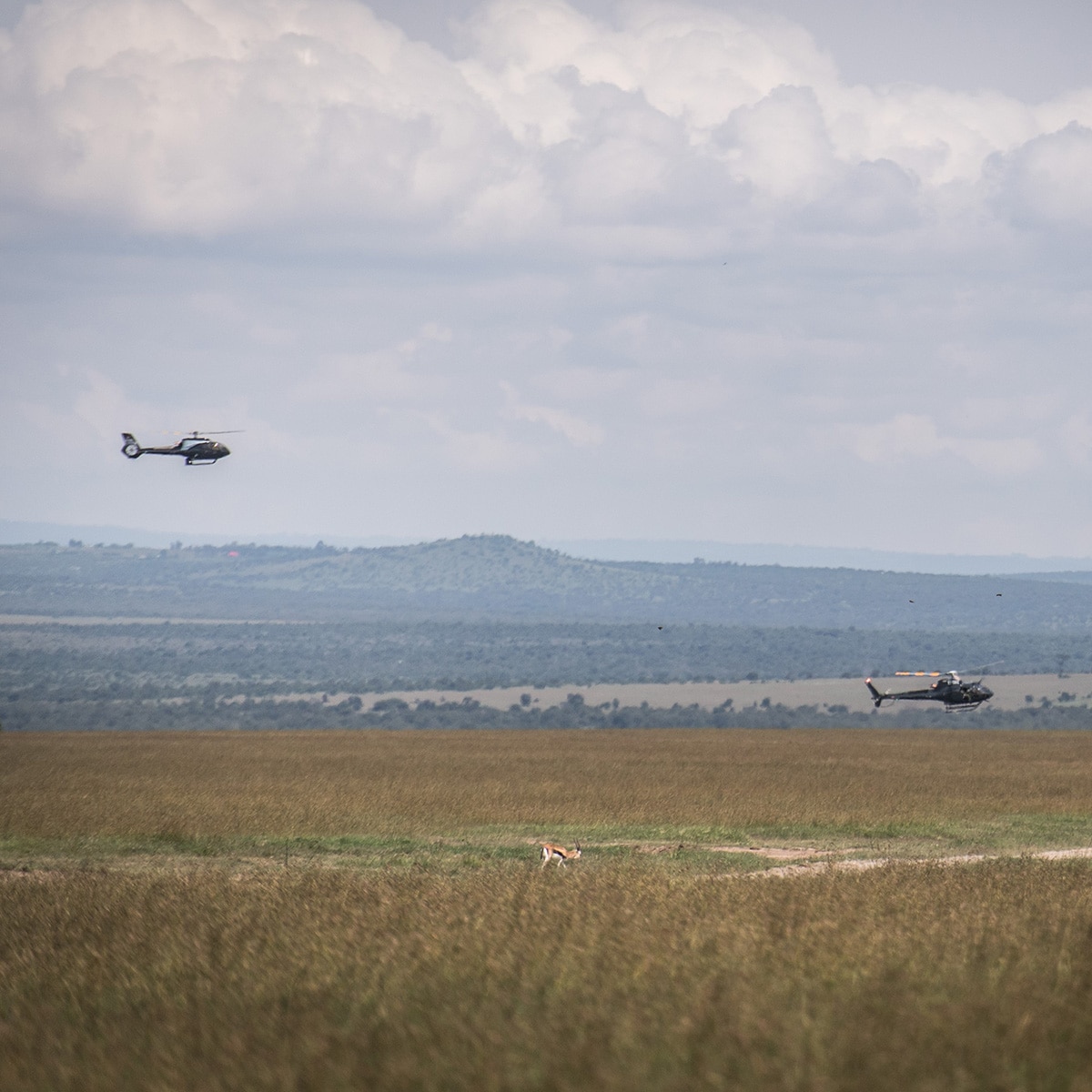 7 Dead in Helicopter Crash in Kenya, Including CEO & Telemundo Exec