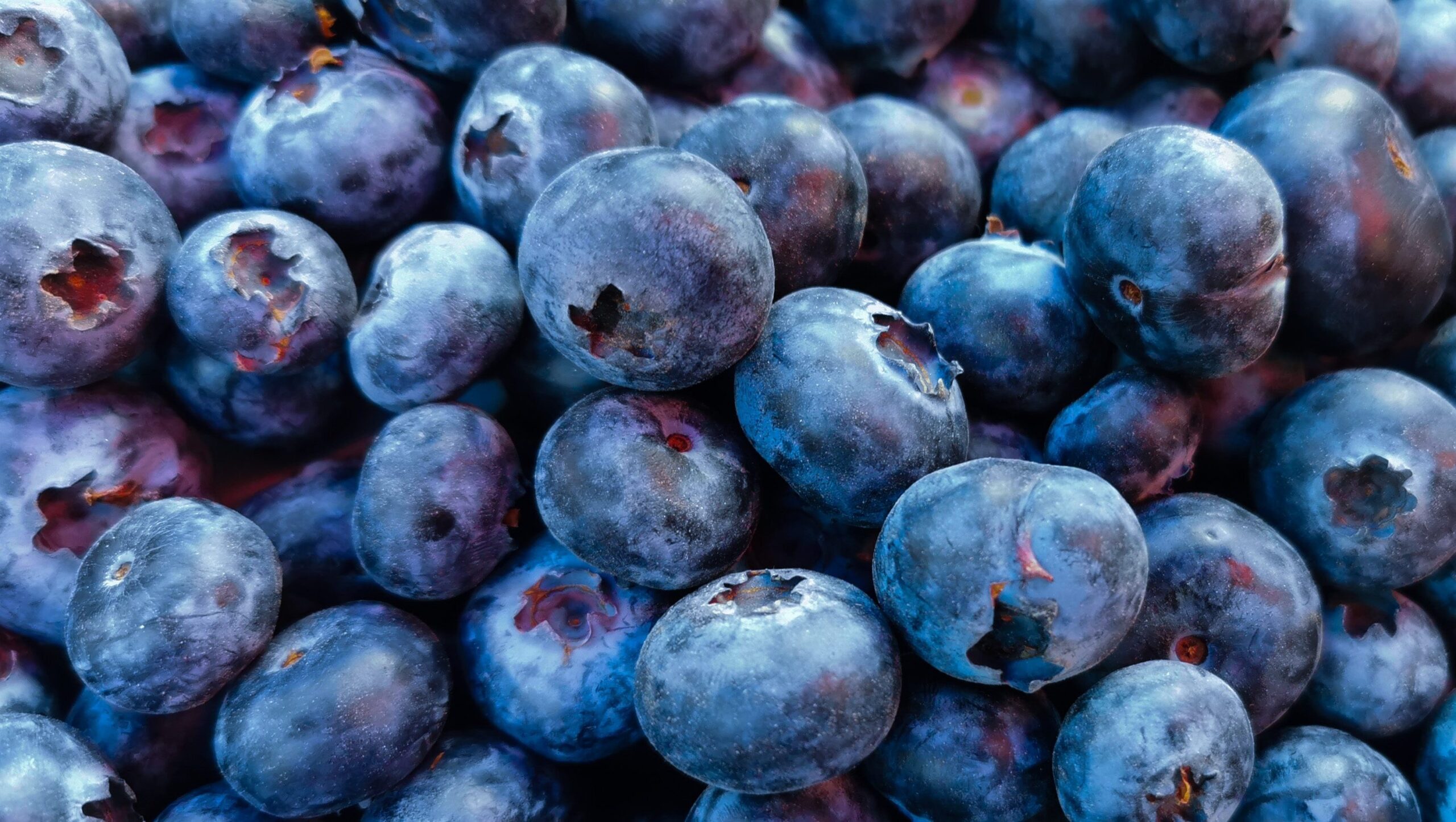 Publix Blueberry Recall: Which Blueberries Were Taken Off Shelves?