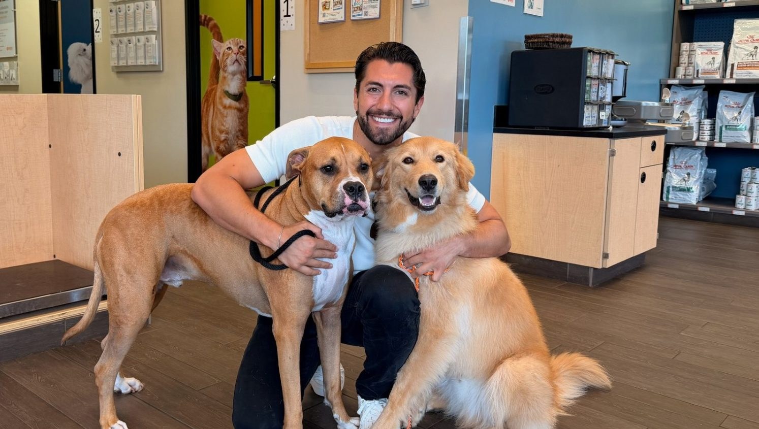 Jason Tartick & Fiancee Kathryn Came Home From Their Engagement to His Dogs Getting Sprayed by a Skunk