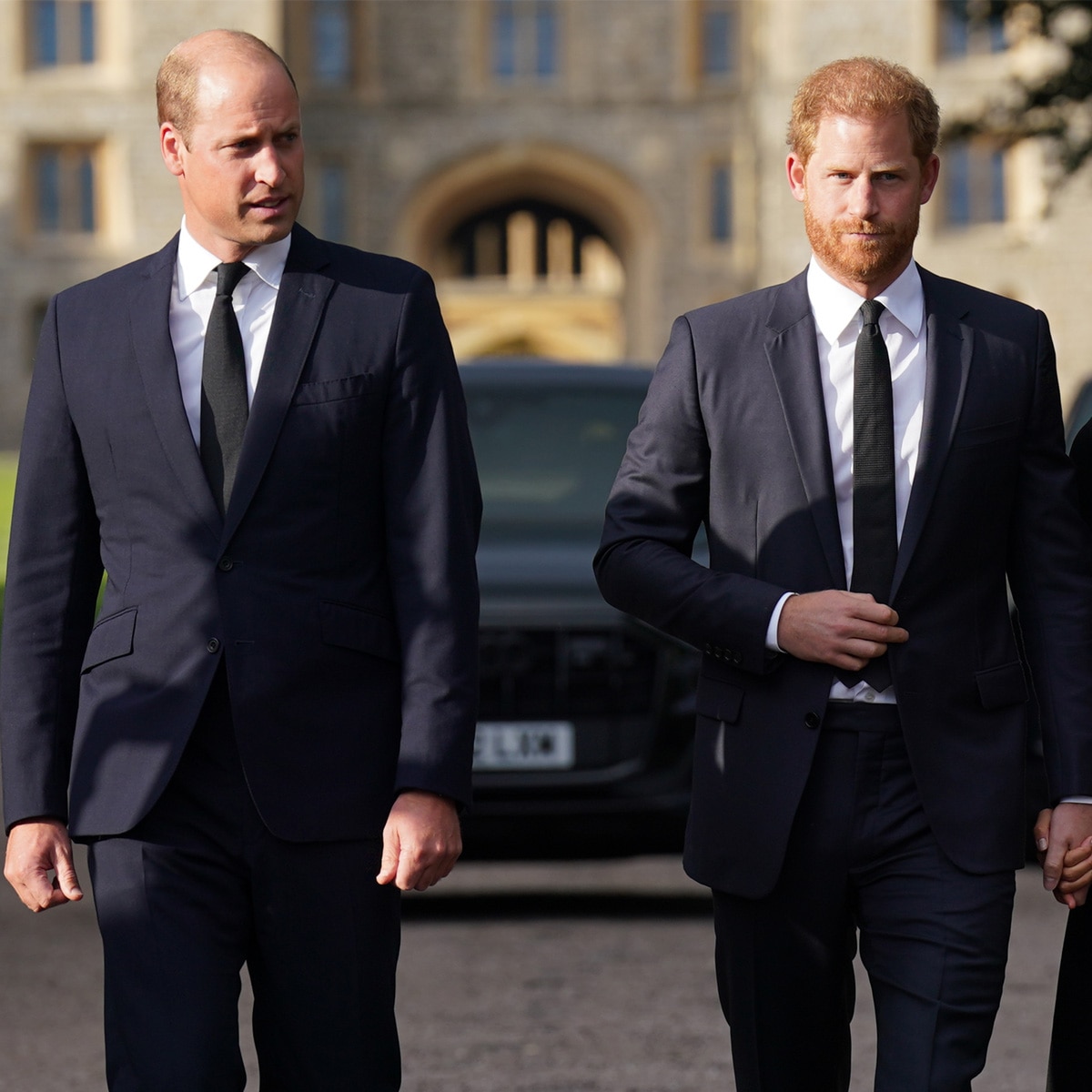 Prince Harry Says He Grieves Prince William, King Charles Relationship