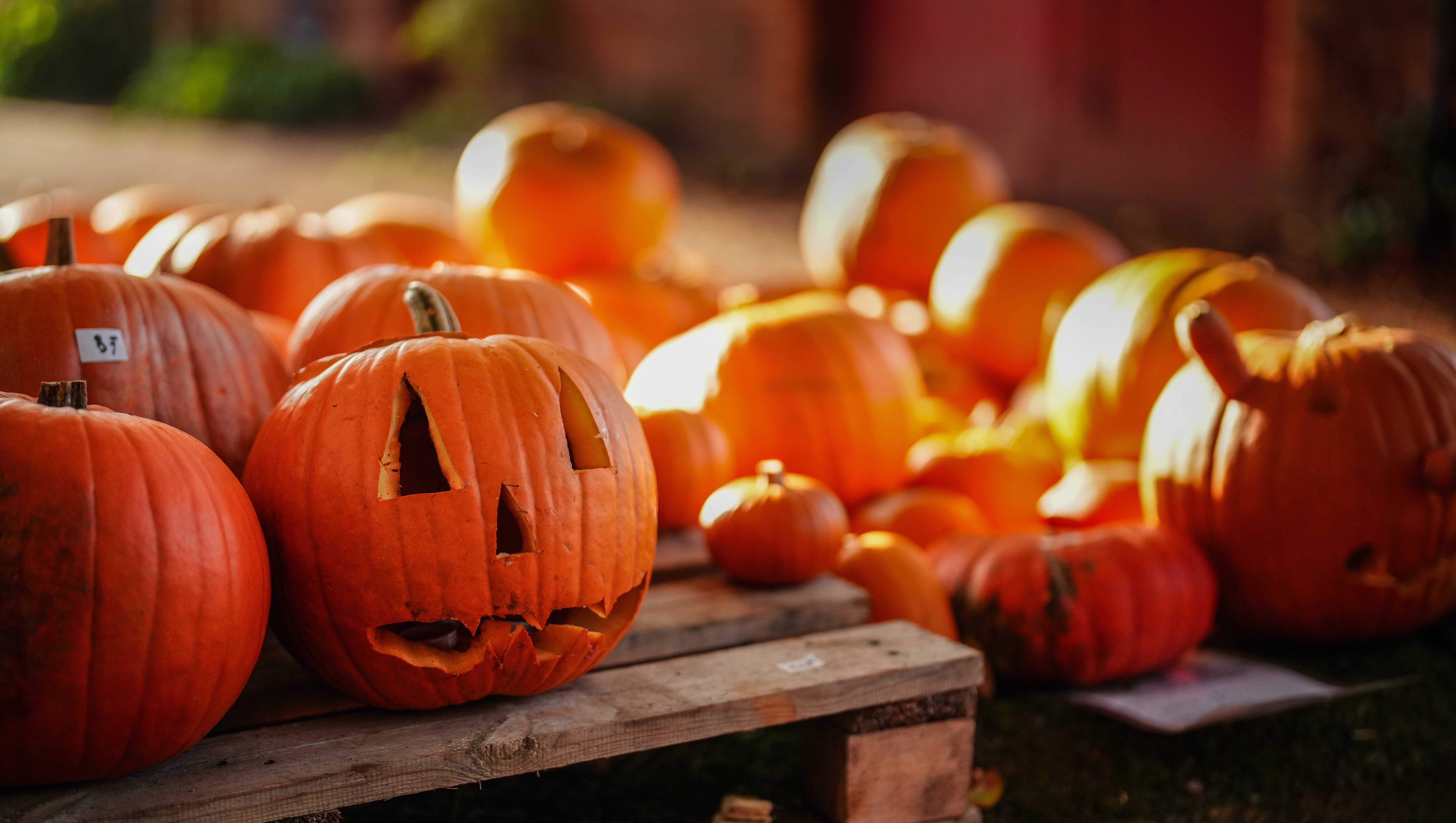 What Is the History of Halloween? Origins of the Spooky Holiday